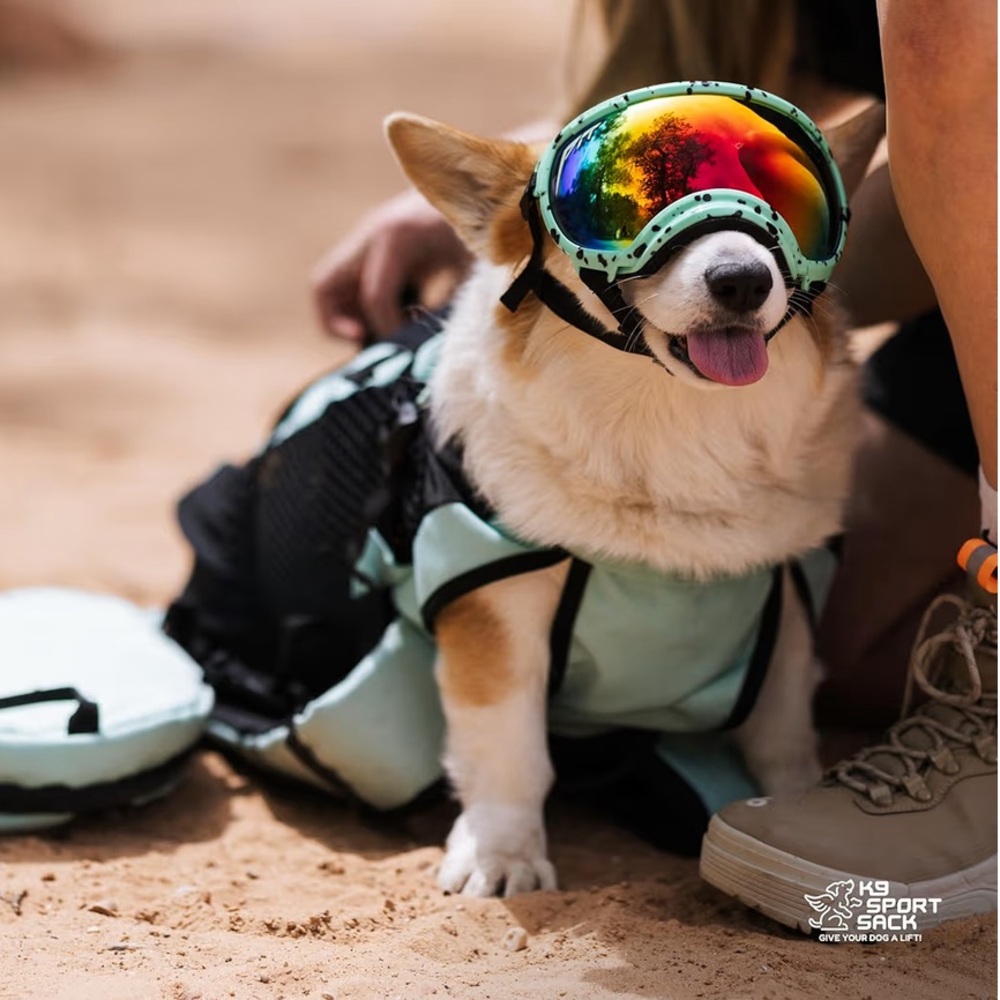 K9 Sport Sack Plus 2 Small Mint Dog Carrier Backpack 10"L X 9"W X 17"H - Picture 5 of 15